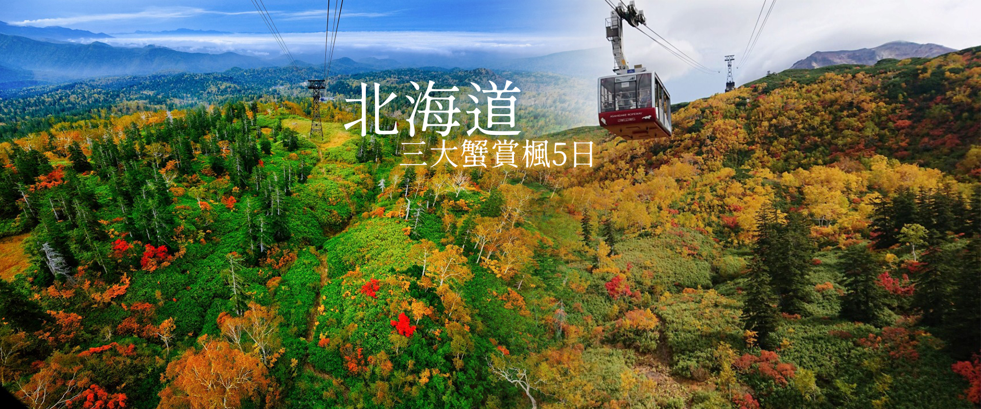 北海道賞楓
