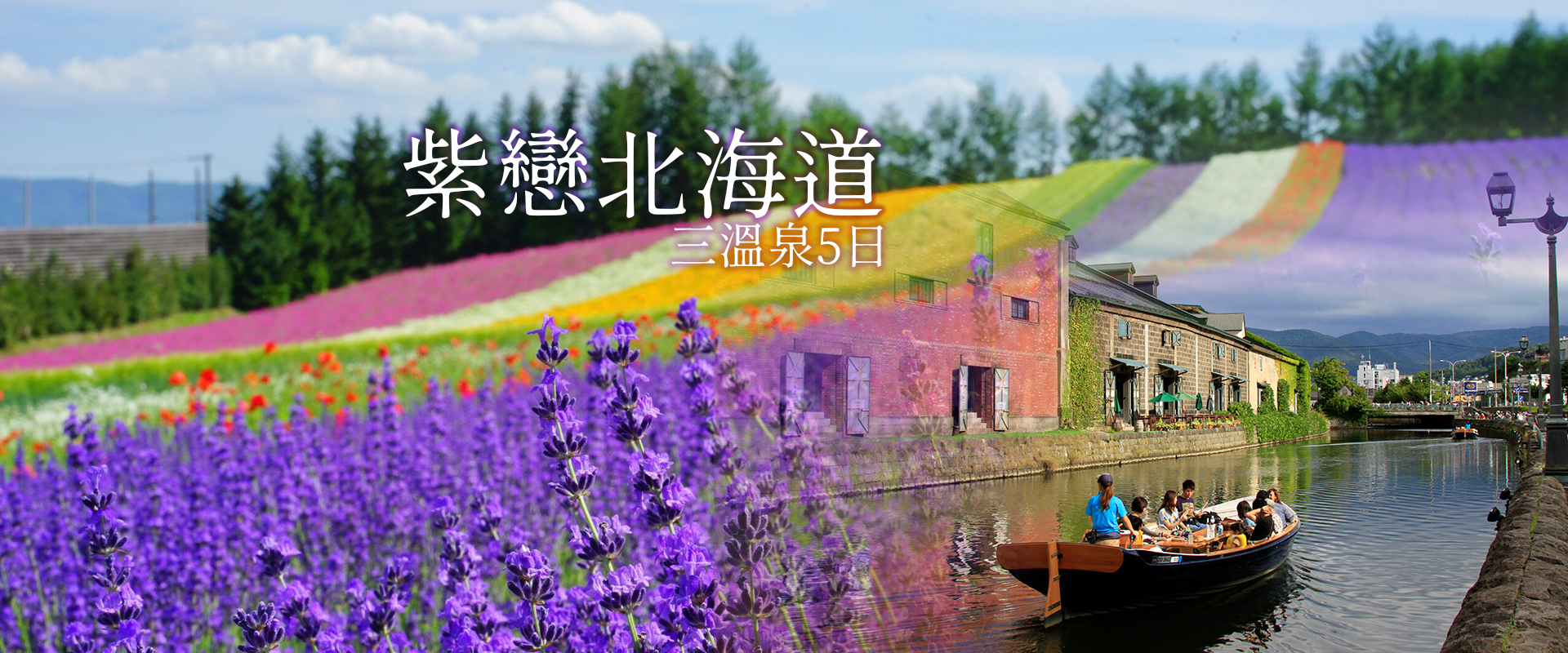 紫戀北海道